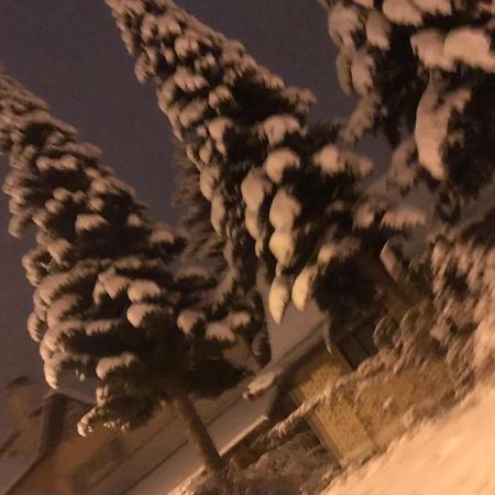 Apartman Milica Kremna Екстериор снимка
